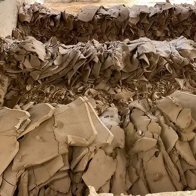 Sludge Dewatering