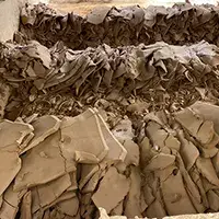 Sludge Dewatering