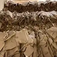 Sludge Dewatering