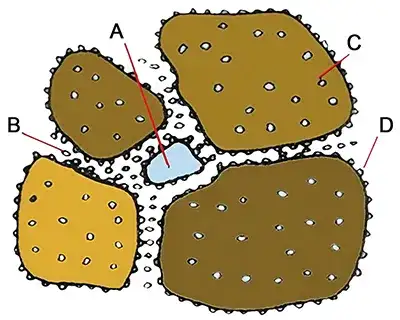 Electrochemical Cell Disruption (Pre-treatment)
