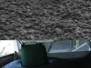Before Dewatering