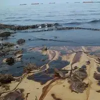 Oily sludge