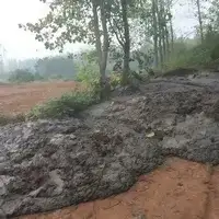 Animal manure
